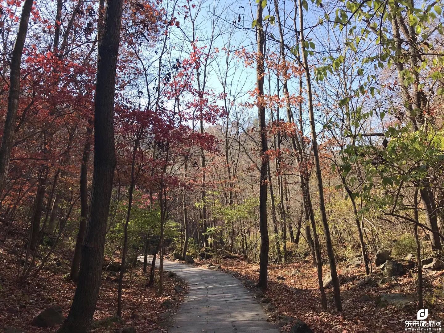  丹東中朝邊境、青山溝、青山湖游船、虎塘溝、飛瀑澗、鳳凰山、3日游