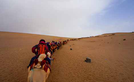 【我想去甘南】蘭州-麥積山石窟-伏羲廟-天水-官鵝溝-鵝嫚溝-臘子口戰(zhàn)役-扎尕那-若爾蓋大草原花湖-郎木寺-米拉日巴佛閣
