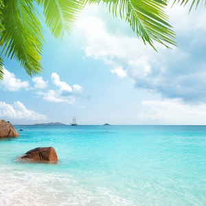 百魔洞、百鳥(niǎo)巖、長(zhǎng)壽島、《夢(mèng)巴馬》演出、明仕田園、通靈峽谷、德天瀑布、北海銀灘雙飛6日游