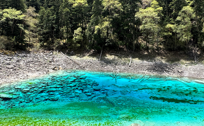 【情系九寨】成都九寨黃龍雙飛6日