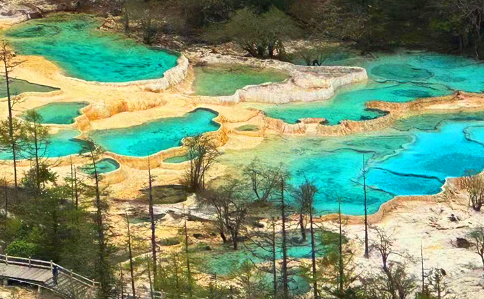 【旅途九寨】 成都·九寨溝·黃龍·熊貓基地·三星堆·都江堰純玩 6 日游