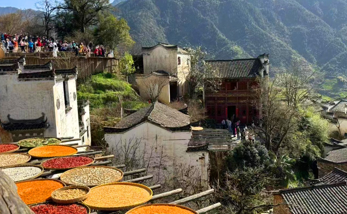【樂游江西大全景】廬山.龍虎山.婺源.望仙谷.葛仙山.三清山.南昌7天