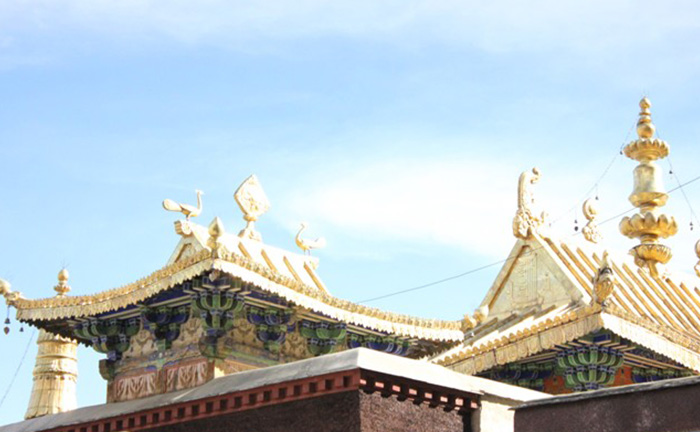 【傾城清邁】清邁 | 清萊 7 日悠閑之旅