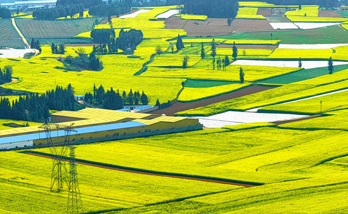 【暢享云南】-昆明、大理、麗江雙飛1動6日游